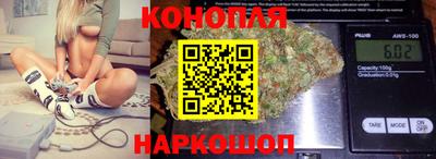 крисы Заводоуковск