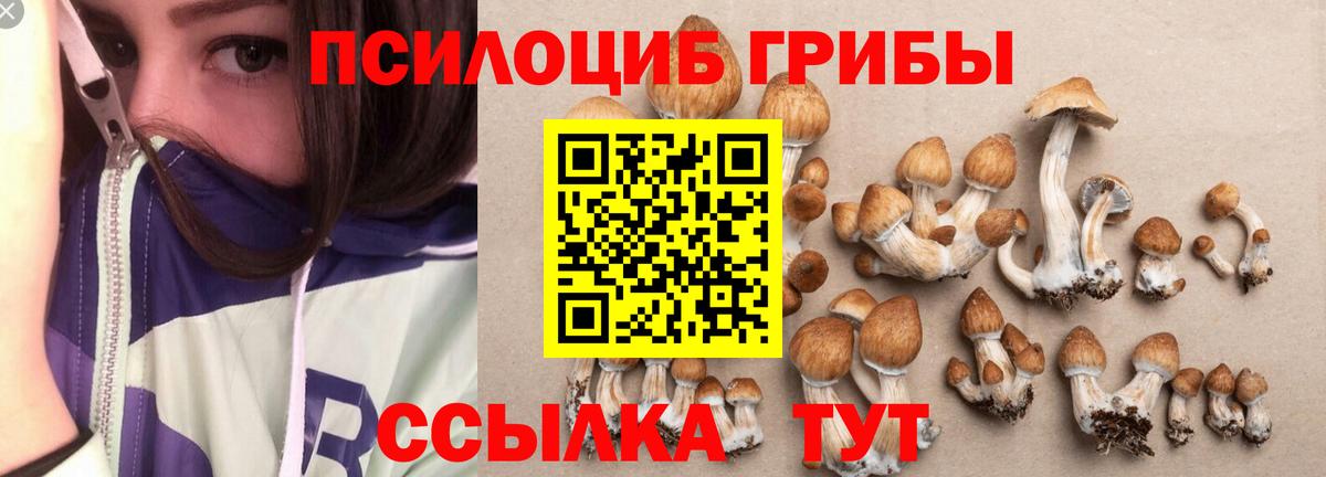 Нижний Тагил  Галлюциногенные грибы Psilocybe  Вход с VPN 