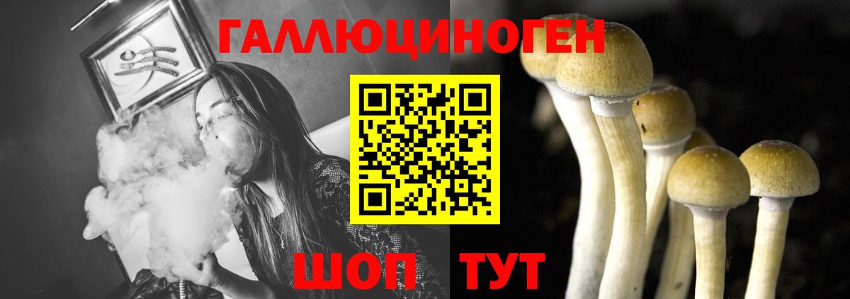 Псилоцибиновые грибы мухоморы Нижний Тагил