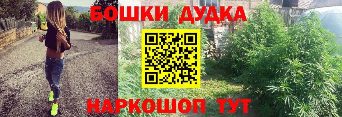 Конопля Ganja  Вход с VPN  Нижний Тагил  Бошки Шишки конопля 
